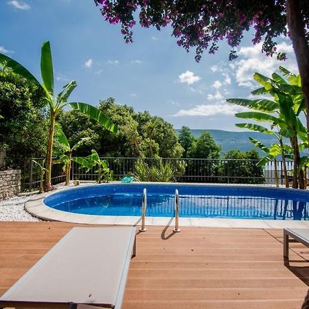 Vila Oliva Herceg Novi Exterior photo