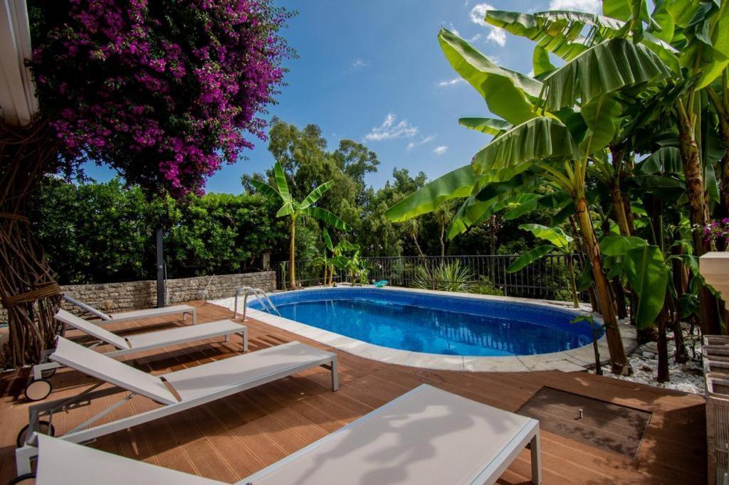 Vila Oliva Herceg Novi Exterior photo